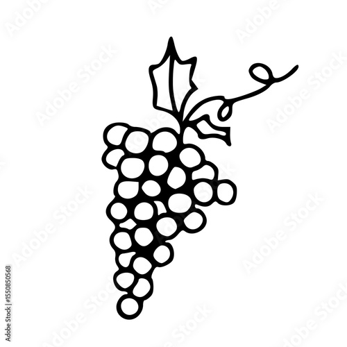 bunch of grapes line art