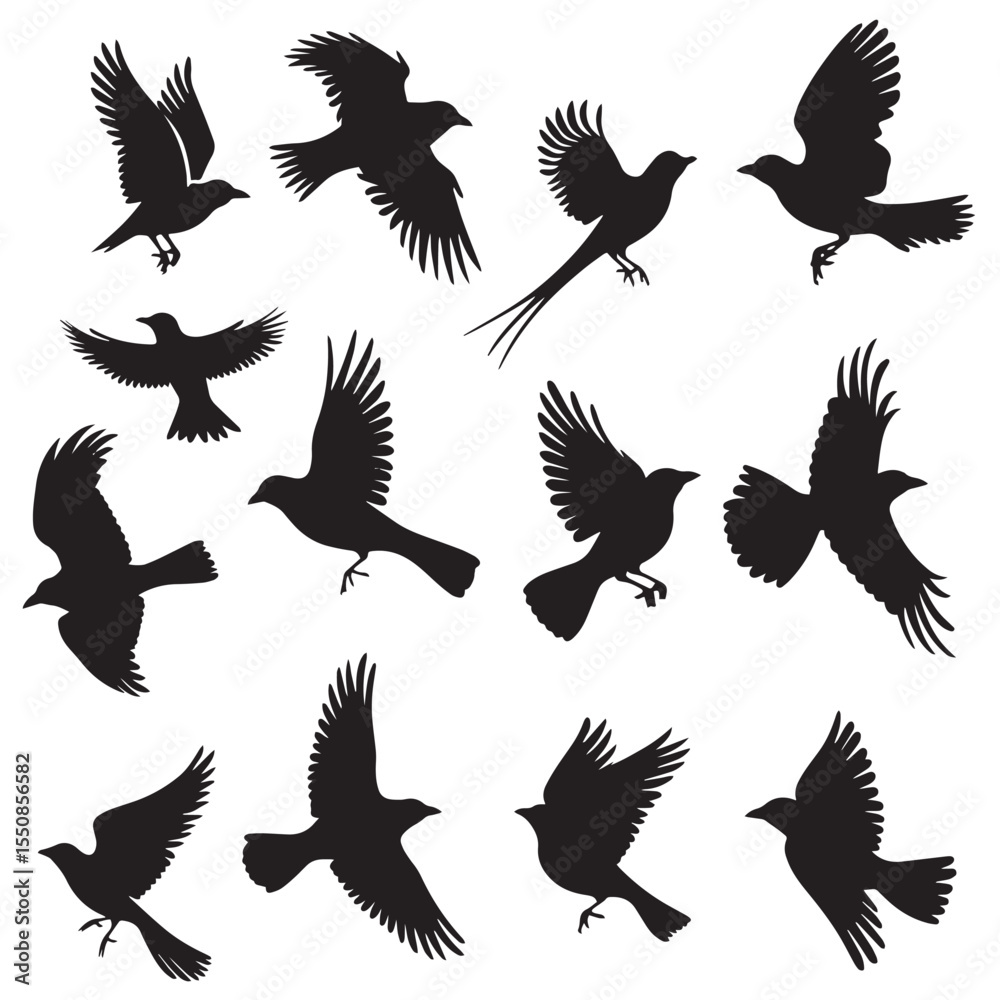 Fototapeta premium Set of black bird silhouettes. Vector elements for design