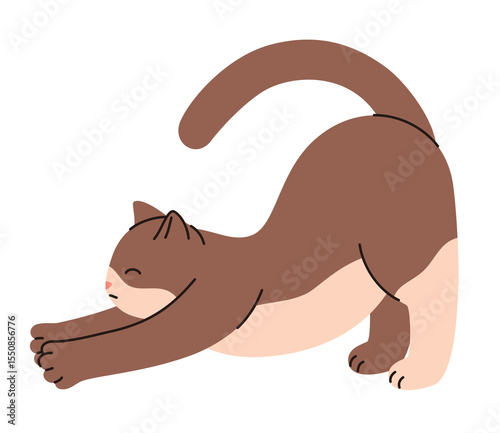 Domestic cat stretching. Flat vector illustration.
