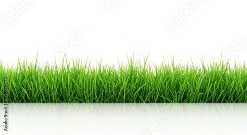 Vibrant Green Grass Border With Subtle Reflection on White Background Ideal for Landscape Design and Spring Themes