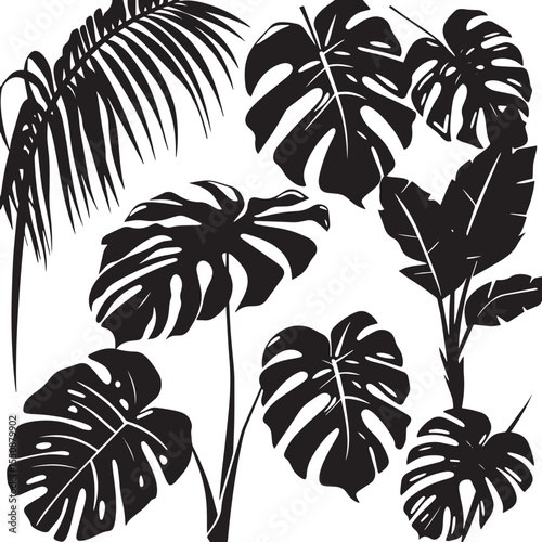 Set of black silhouettes tropical plants. Monstera and palm jungle leaves , black silhouettes isolated on white background