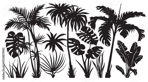 Set of black silhouettes tropical plants. Monstera and palm jungle leaves , black silhouettes isolated on white background