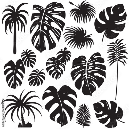 Set of black silhouettes tropical plants. Monstera and palm jungle leaves , black silhouettes isolated on white background
