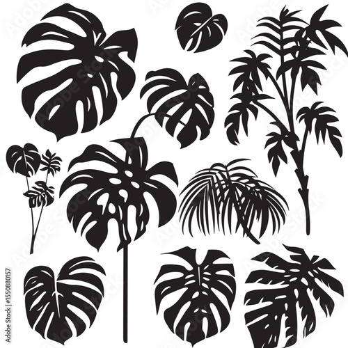 Set of black silhouettes tropical plants. Monstera and palm jungle leaves , black silhouettes isolated on white background