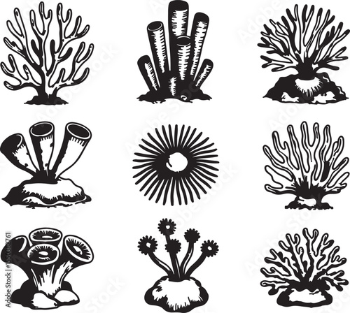 This image features nine distinct coral and sea plant formations, rendered in a detailed line art style with various textures and shading, showcasing the diversity of marine flora.