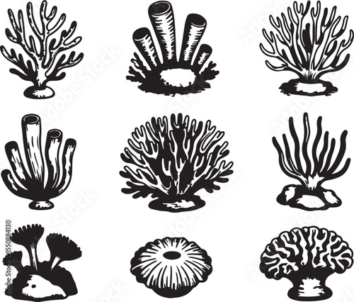 This image features nine distinct coral and sea plant formations, rendered in a detailed line art style with various textures and shading, showcasing the diversity of marine flora.