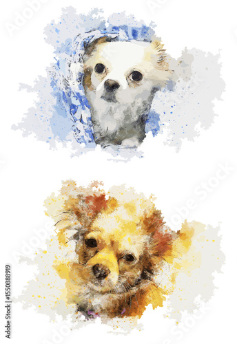 Watercolor Dog Heads: Expressive Canine Portraits with Artistic Splashes