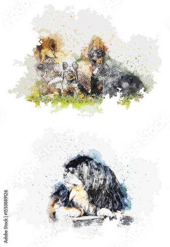 Watercolor Dog Breeds: German Shepherd, Doberman, and Bernese Art