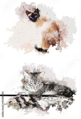 Watercolor Cats: Siamese and Tabby Portraits with Artistic Splash Effects