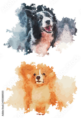 Watercolor Dog Portraits: Border Collie and Corgi with Artistic Splatter