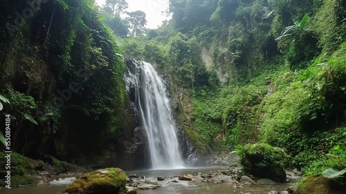 Serene waterfall cascading amidst lush green rainforest foliage