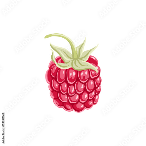 raspberry, vector drawing pink berry isolated at white background, hand drawn illustration