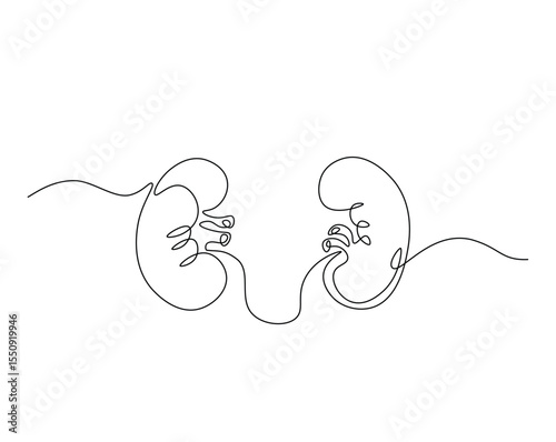 Human organ, kidney outline drawing illustration. one continuous line drawing of human kidney. healthy concept.