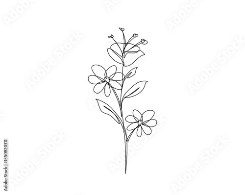 Beautiful flower outline drawing illustration. one continuous line drawing of topical flower.