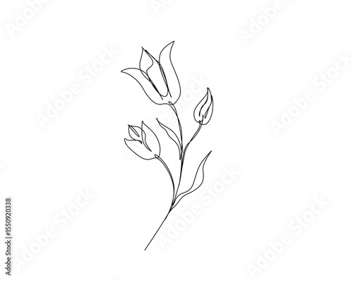 Beautiful flower outline drawing illustration. one continuous line drawing of tulip flower.
