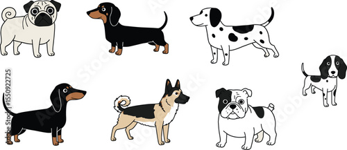 Cartoon dog breeds collection, cute puppy vector set, pet animal illustration, playful dog characters, flat design, isolated icons, pets