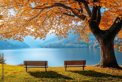Fototapeta Naklejka Na Ścianę i Meble -  Two benches under autumn tree overlooking lake with mountain backdrop on a sunny day