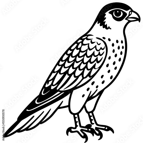 Minimalist Eurasian Hobby