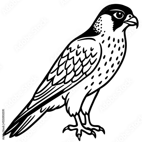 Minimalist Eurasian Hobby