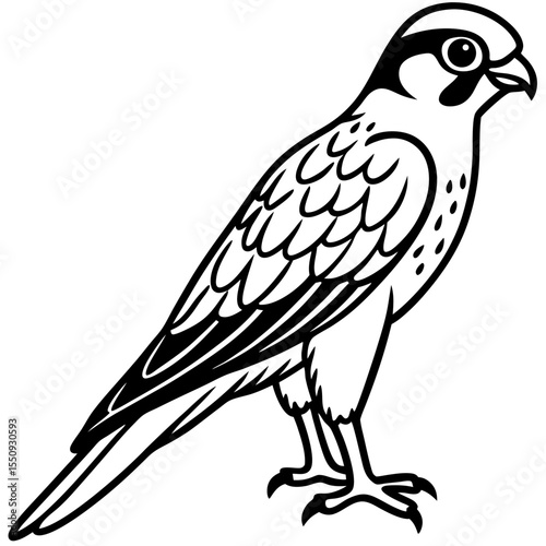 Minimalist Eurasian Hobby