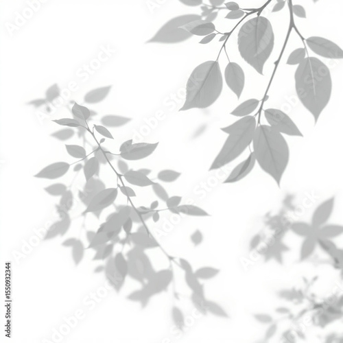 shadow overlay effect. Gray shadow of leaves isolated on white background. Plant foliage leaf shadow light effect. Mockup Blurred tree branch shadow. Ideal for summer spring design elements PNG
