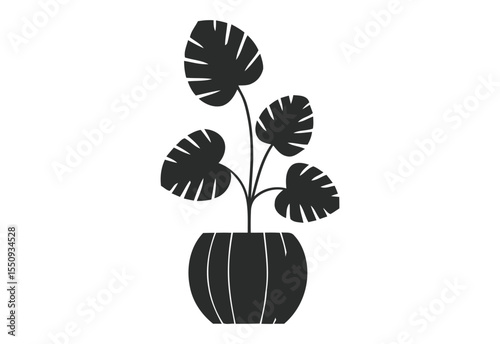 Monstera deliciosa plant in a pot silhouette on a white background