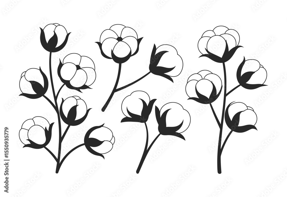 Obraz premium Simple black and white illustration of cotton branches with fluffy bolls