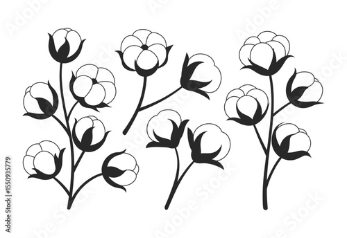 Simple black and white illustration of cotton branches with fluffy bolls