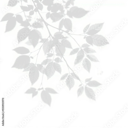 shadow overlay effect. Gray shadow of leaves isolated on white background. Plant foliage leaf shadow light effect. Mockup Blurred tree branch shadow. Ideal for summer spring design elements PNG