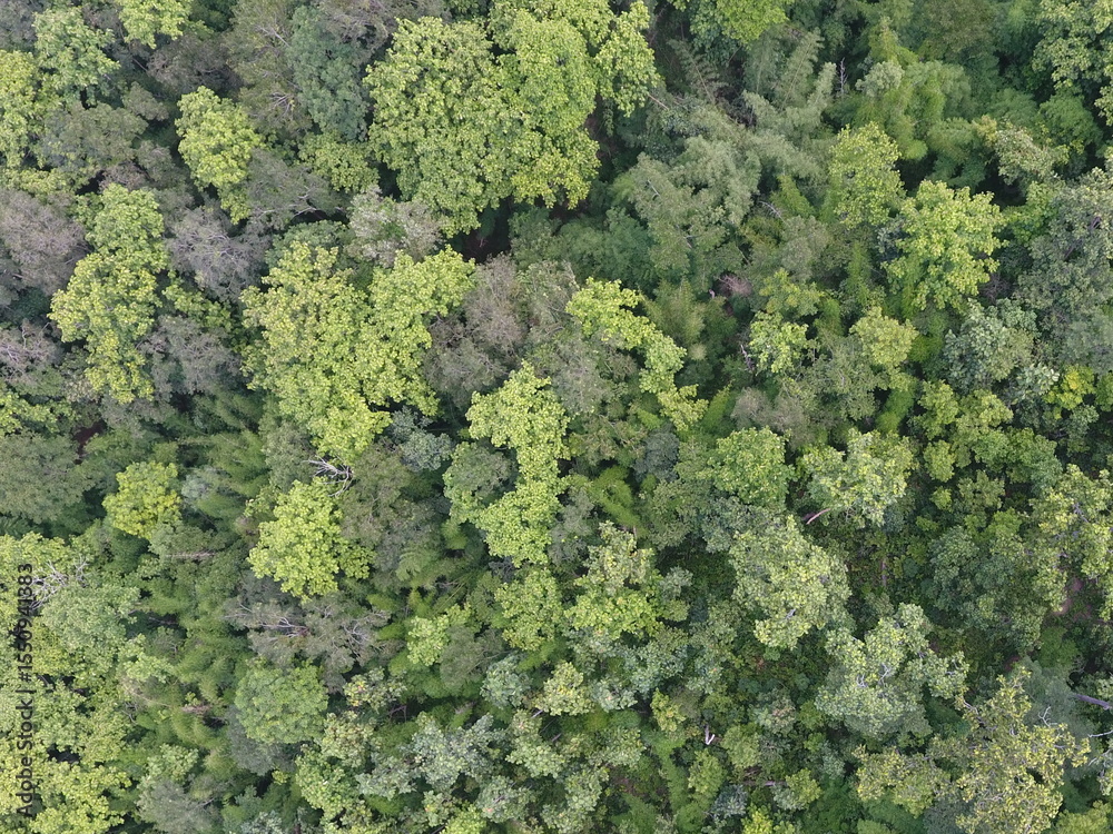 Naklejka premium Top View Aerial Photograph