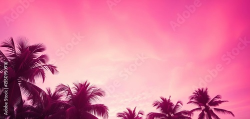 Pink tropical palm tree silhouette against an abstract sky Copy space available Summer vacation, travel, nature,  exotic,  adventure