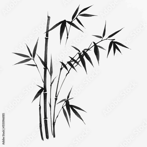 Vector illustration of bamboo branches in traditional asian black-and-white style