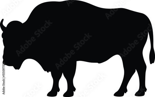 ox silhouette vector illustration, cow black symbol, bull isolated  