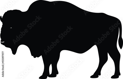 ox silhouette vector illustration, cow black symbol, bull isolated  