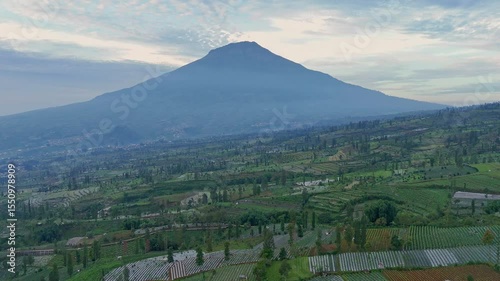Wallpaper Mural Aerial view of greenery landscape of endless agricultural field on sloping plains with mountain background. Tropical rural landscape, Temanggung, Central Java, Indonesia. Torontodigital.ca
