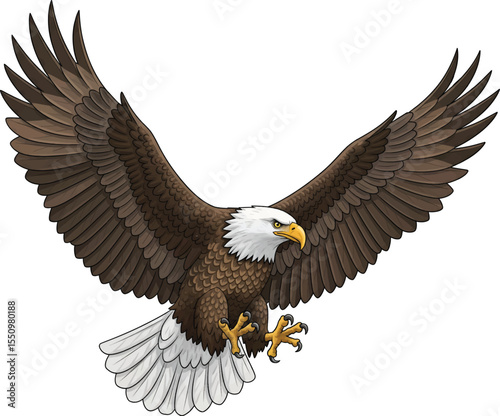 Powerful Bald Eagle in Flight, Vector Illustration