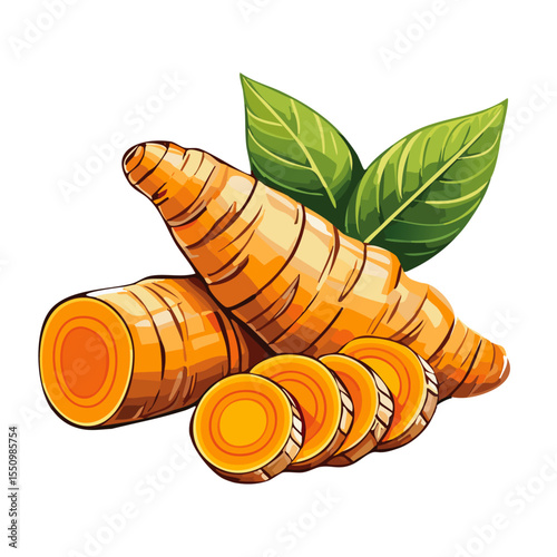 Turmeric root vector color illustration in sketch style. Line art of useful spice for packaging and design.