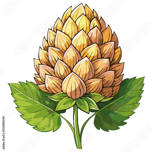 Hop cones on a branch color vector illustration. Image of an ingredient for beer with leaves on an isolated background. For packaging and design
