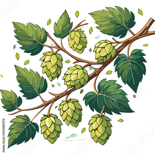 Hop cones on a branch color vector illustration. Image of an ingredient for beer with leaves on an isolated background. For packaging and design