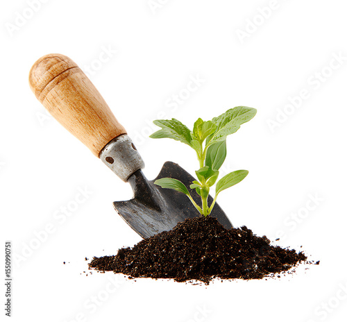 Gardening trowel and small plant seedling on a pile of soil, isolated on a transparent background.