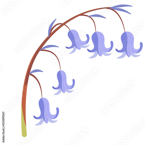 vector illustration of bluebell flower with curved stem