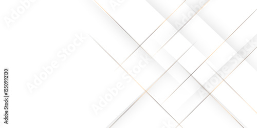 Abstract white and gray color, modern design stripes background with geometric shape. Vector illustration.
. Vector white horizontal template for business banner