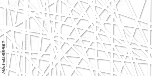 Abstract line background. abstract black lines with white background creative and geometric shape with white luxury pattern and paper texture and geometric shape with white luxury style.	
