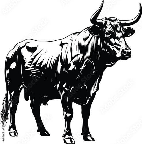 black silhouette cow shape sharp image white background