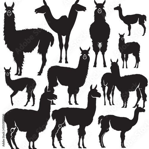 Set Of Llama Silhouettes , black silhouettes isolated on white background