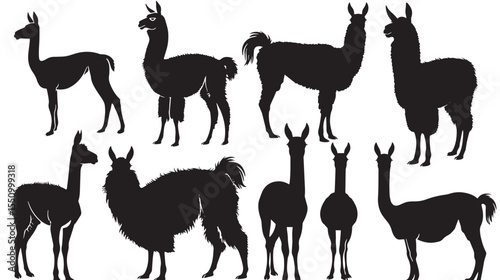 Set Of Llama Silhouettes , black silhouettes isolated on white background