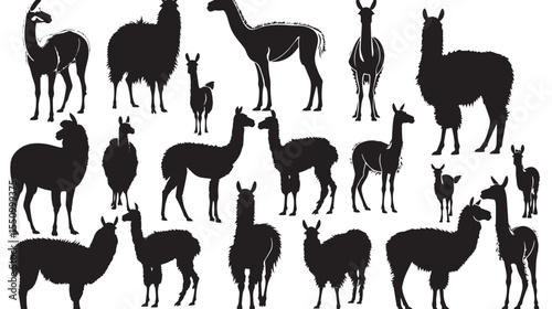 Set Of Llama Silhouettes , black silhouettes isolated on white background