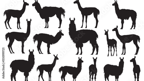 Set Of Llama Silhouettes , black silhouettes isolated on white background