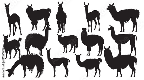 Set Of Llama Silhouettes , black silhouettes isolated on white background