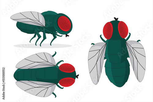 Vector illustration of green houseflies with red eyes from multiple angles. Great for science visuals, pest-related graphics, or educational purposes.